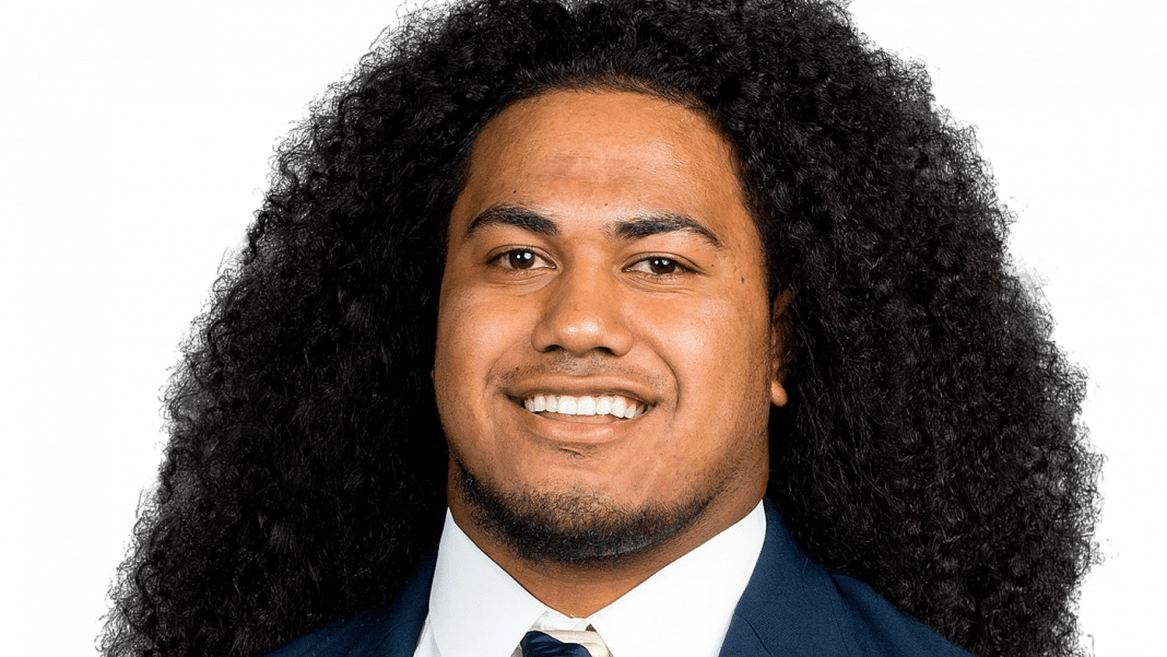 cropped-Vita-Vea.png