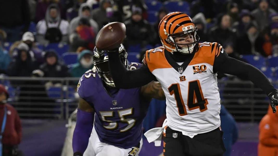 cropped-andy-dalton-bengals.jpg