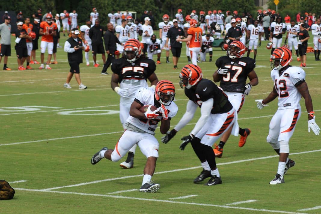 Giovani Bernard Bengals