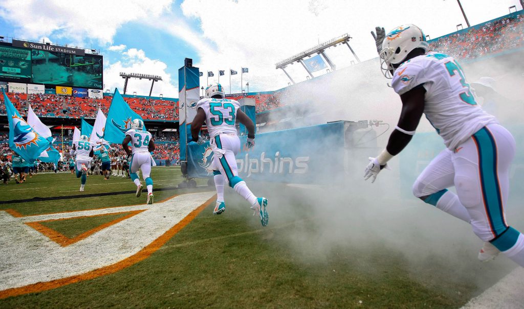 miami dolphins