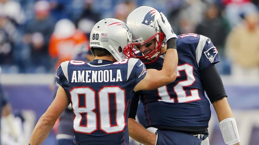 amendola-brady