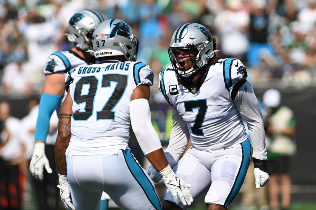 Panthers defense