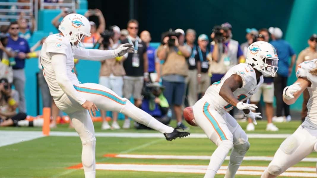 butt-punt-dolphins