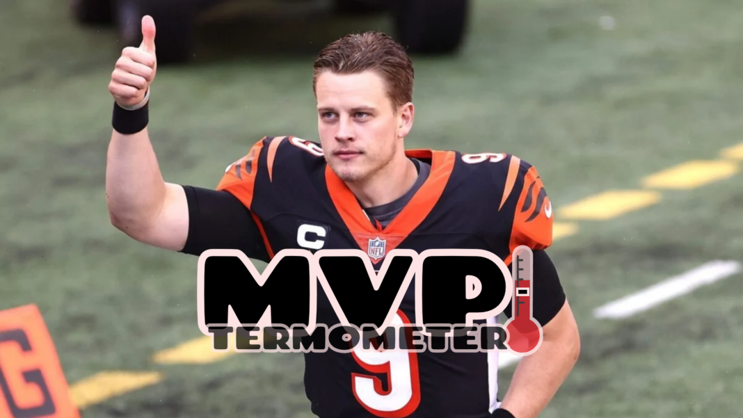 BurrowMVP